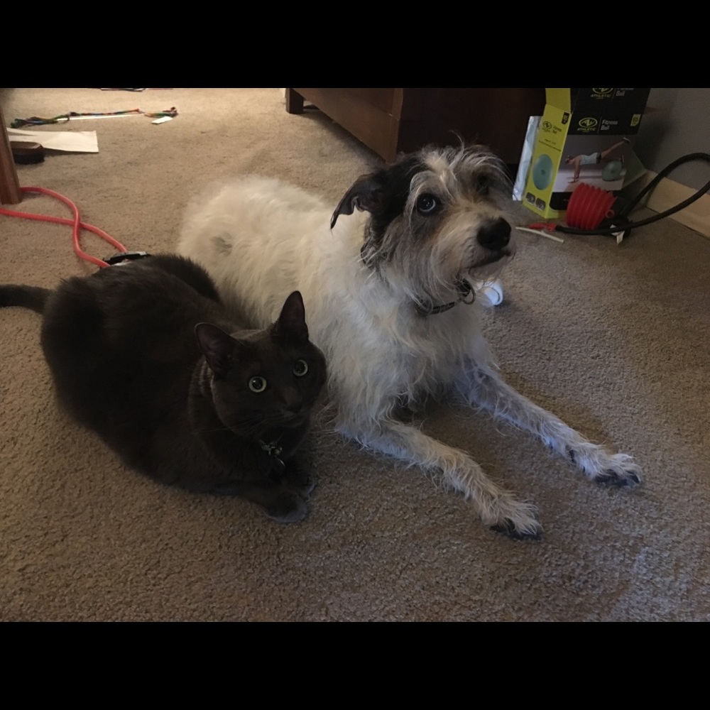 Meet your Posher, Marjorie